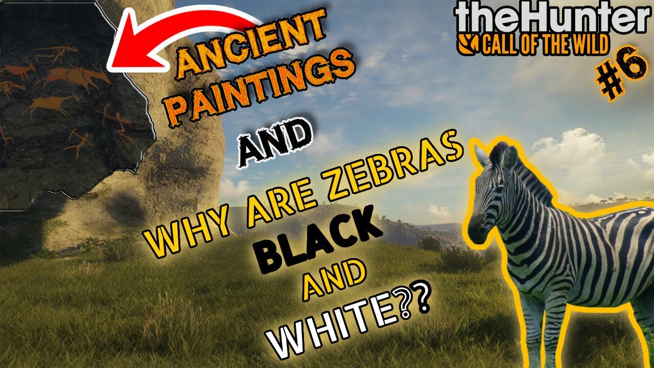 Why are Zebras Black and White? | TheHunter: Call of the Wild | Ep 6