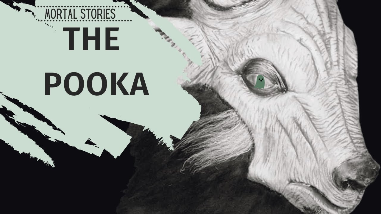 The Pooka; Ireland's Most Feared Fairy | A Short Documentary