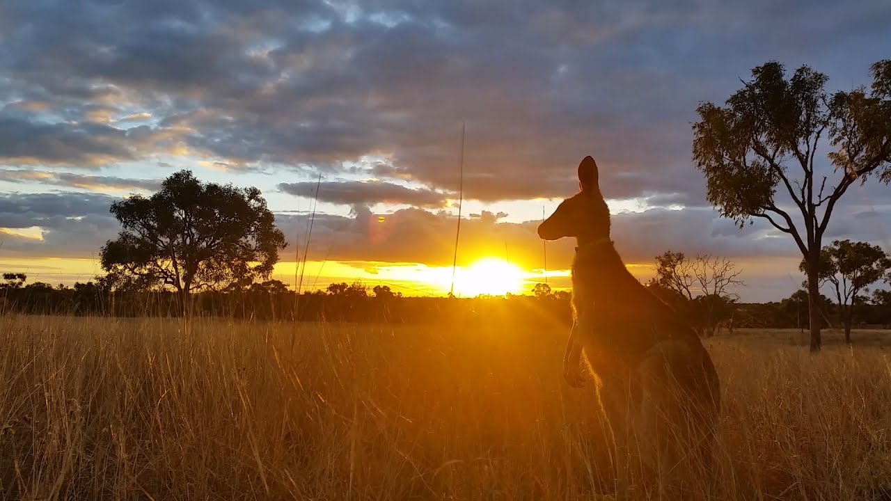 Samsung Galaxy S5 4K Video HD Test Sample + Photography Picture Quality Samples