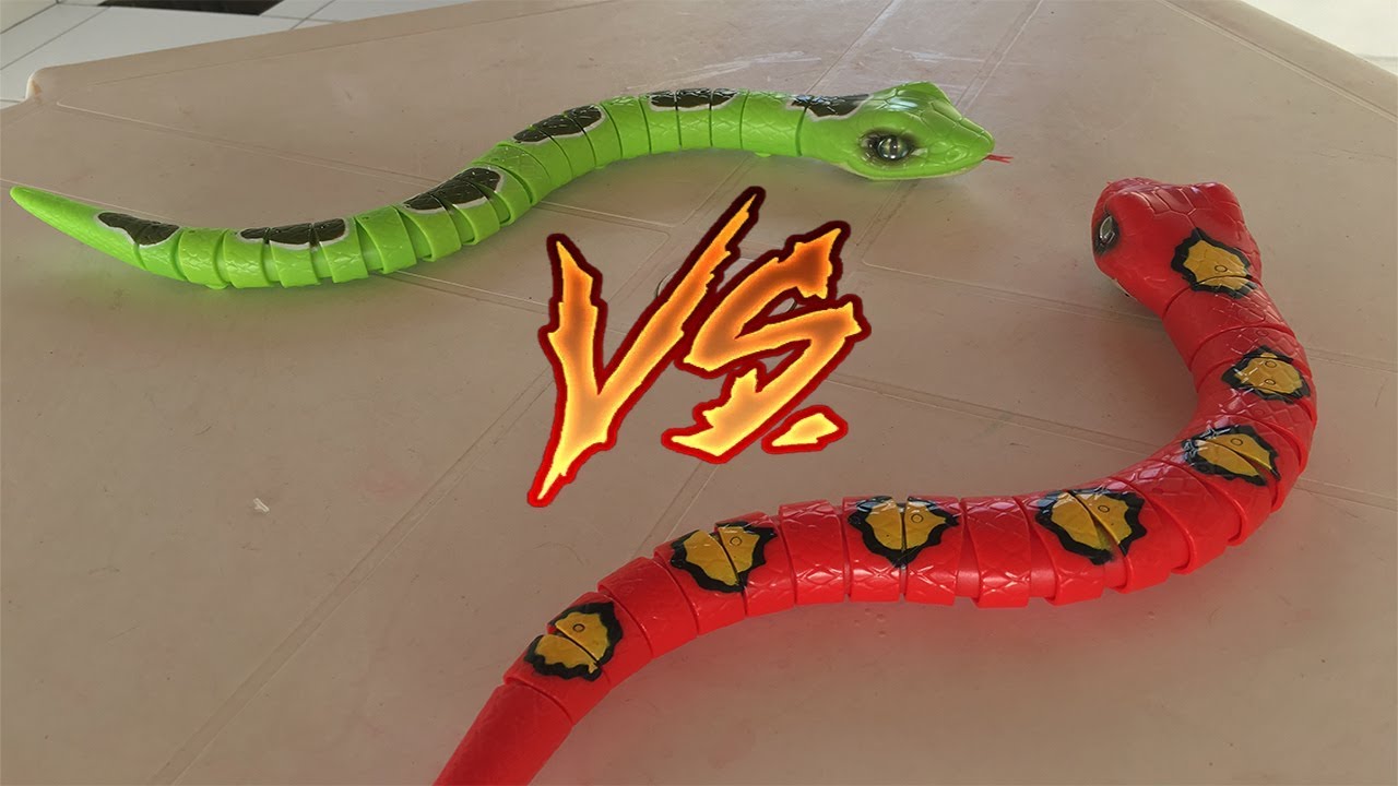 A BATALHA DAS COBRAS ROBÔS!