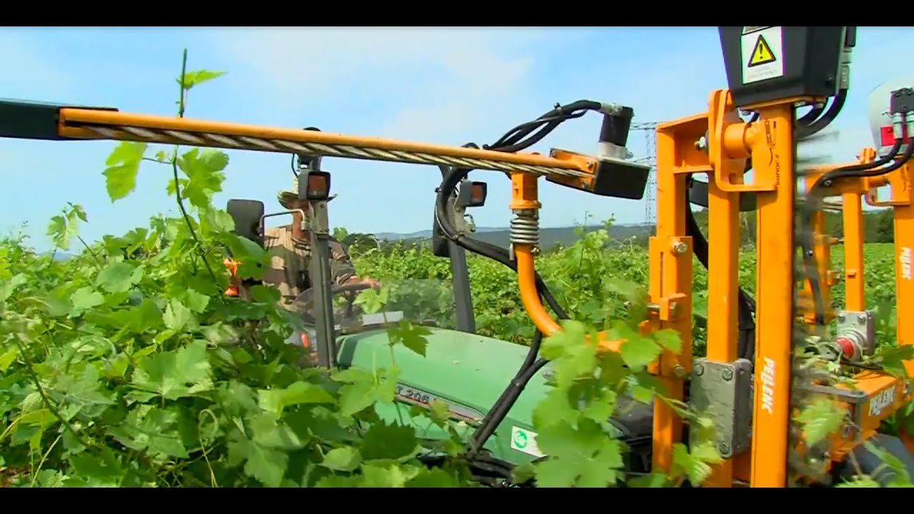 Ecimeuse sur tracteur interligne | PELLENC