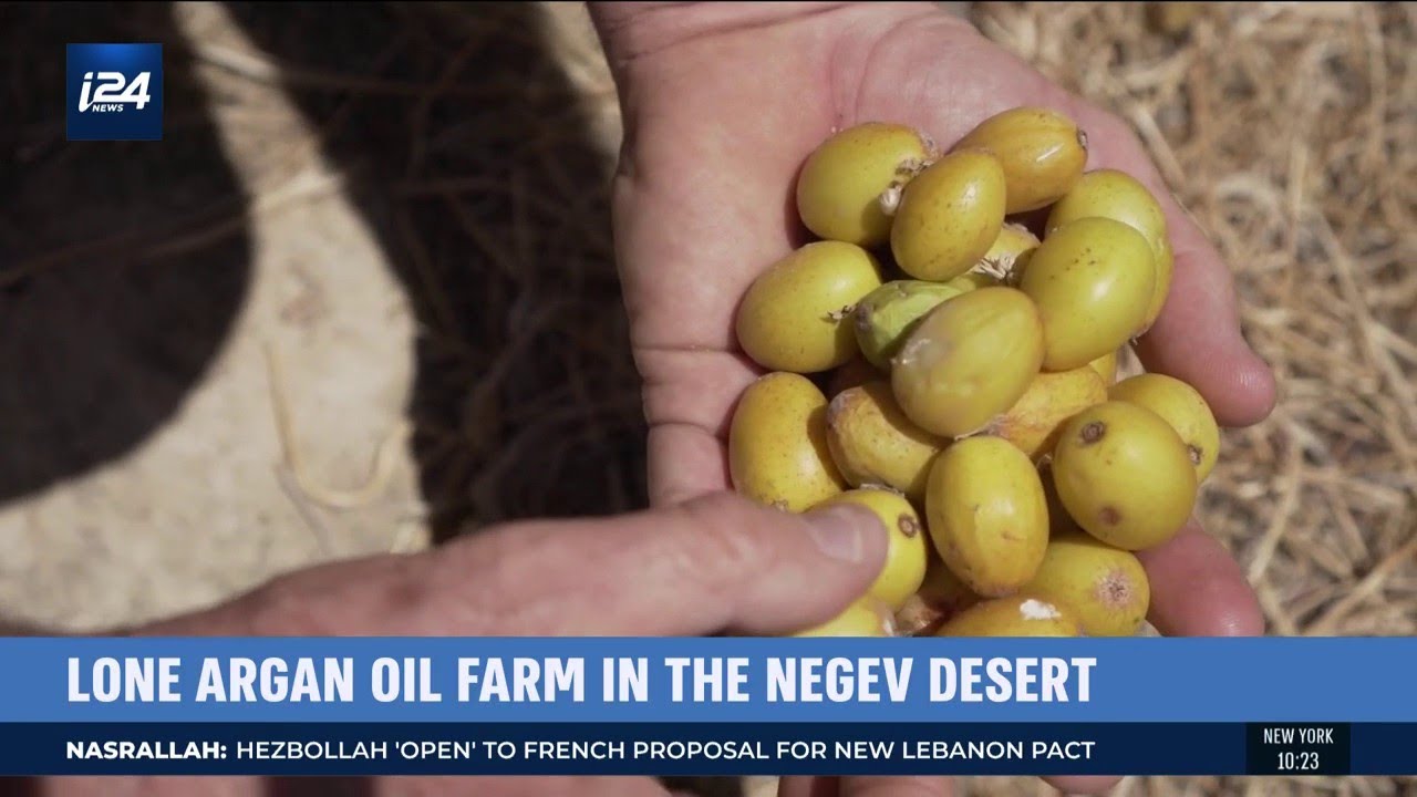 The Lone Argan Oil Farm in Israel's Negev Desert