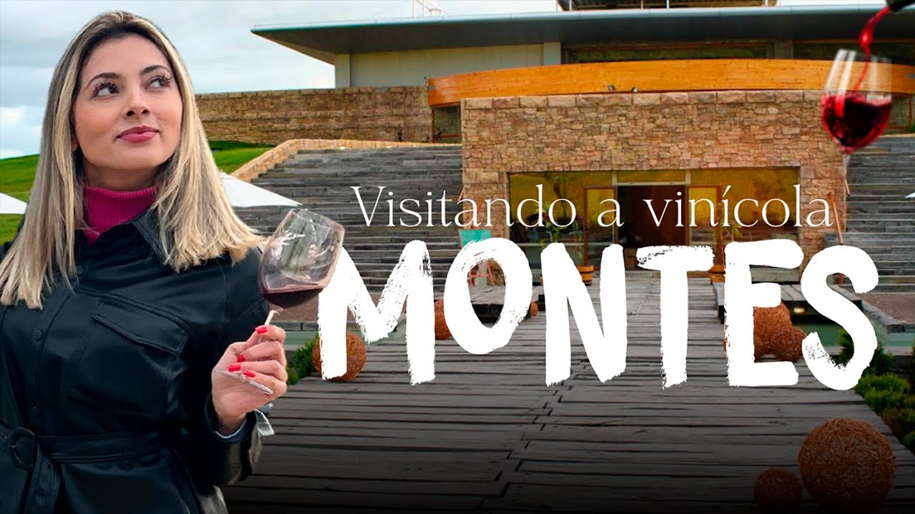 Tour pela 3ª melhor vinícola do mundo | Vinícola Montes