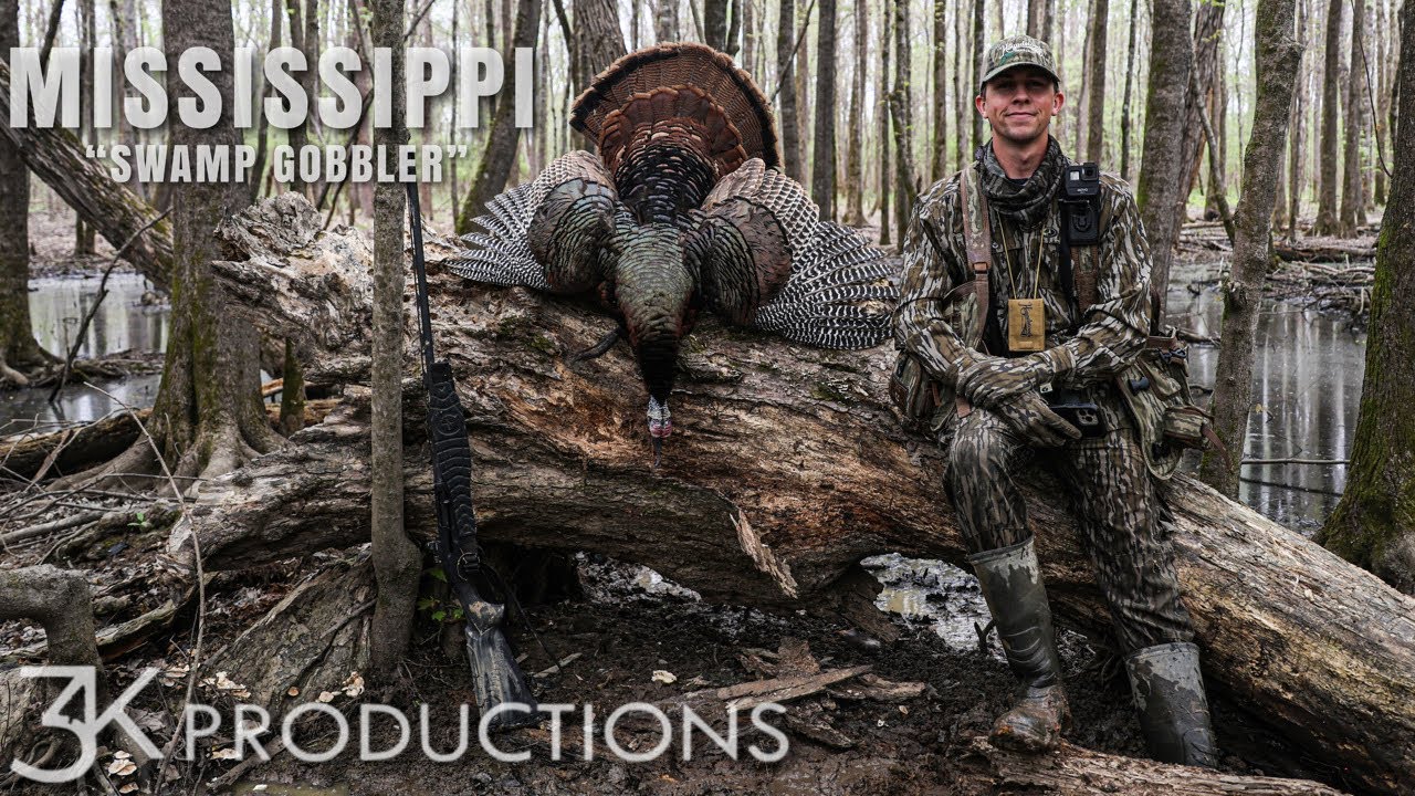 MISSISSIPPI TURKEY HUNTING | GOBBLERS IN THE SWAMP