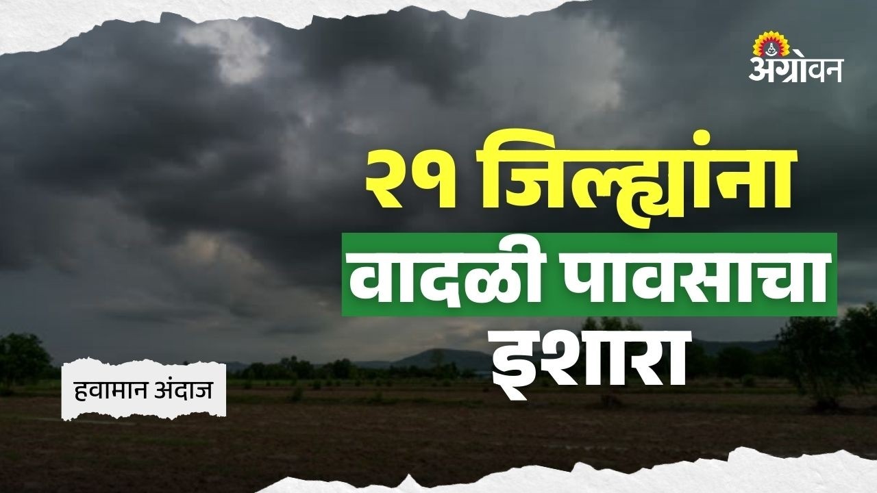 Maharashtra Rain Alert: विदर्भ, मराठवाड्यात विजांसह पावसाची शक्यता | Agrowon