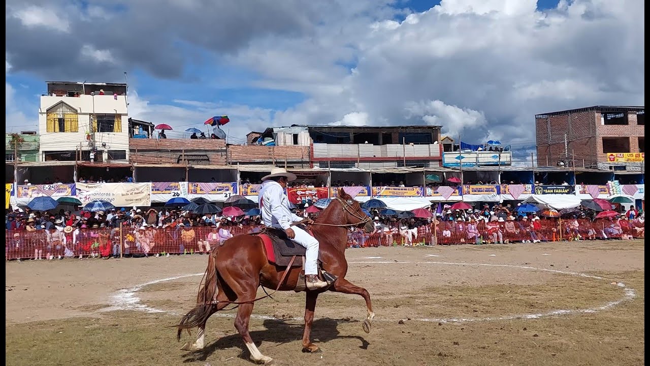 Concurso de Caballo Peruano de Paso 