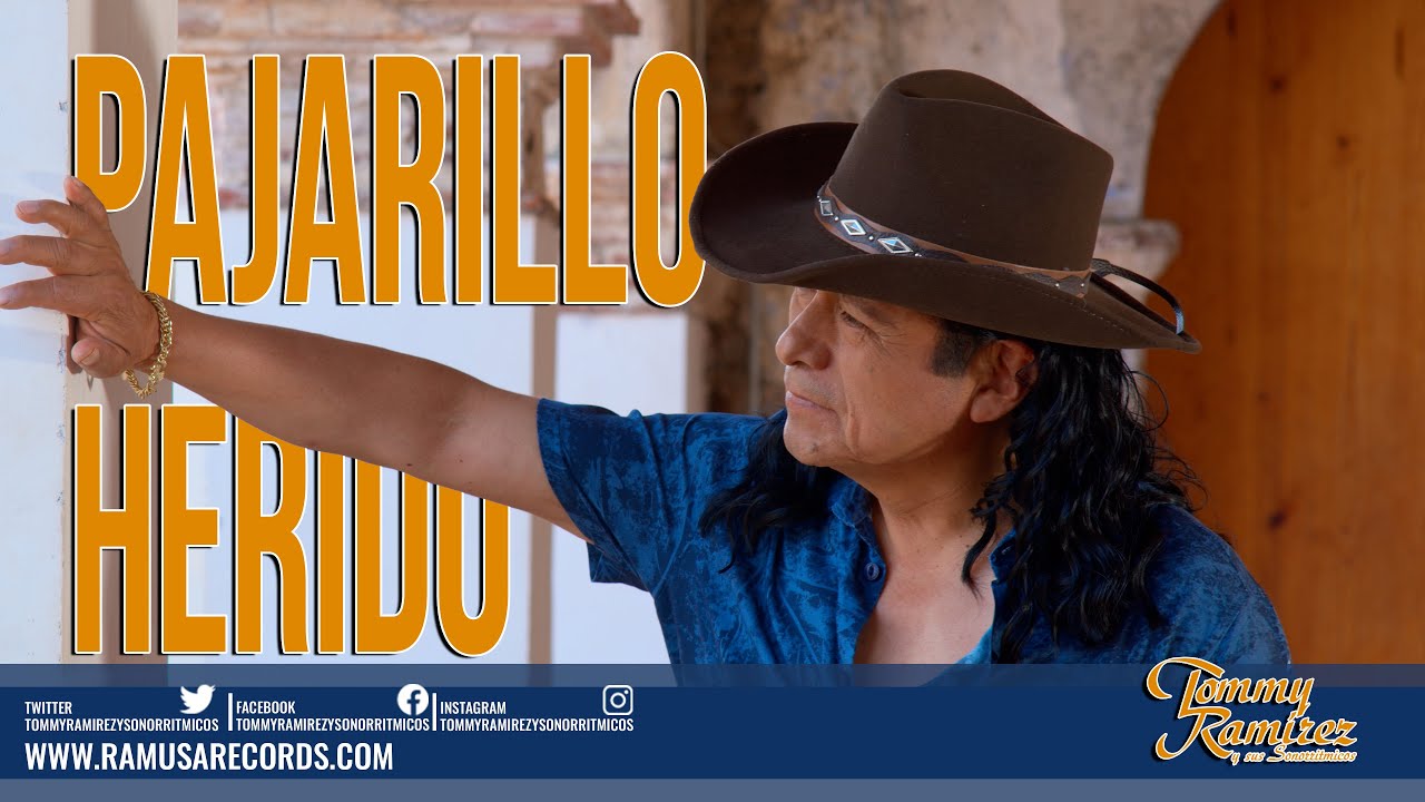 Pajarillo Herido - Tommy Ramírez y Sus Sonorritmicos (Official Video)