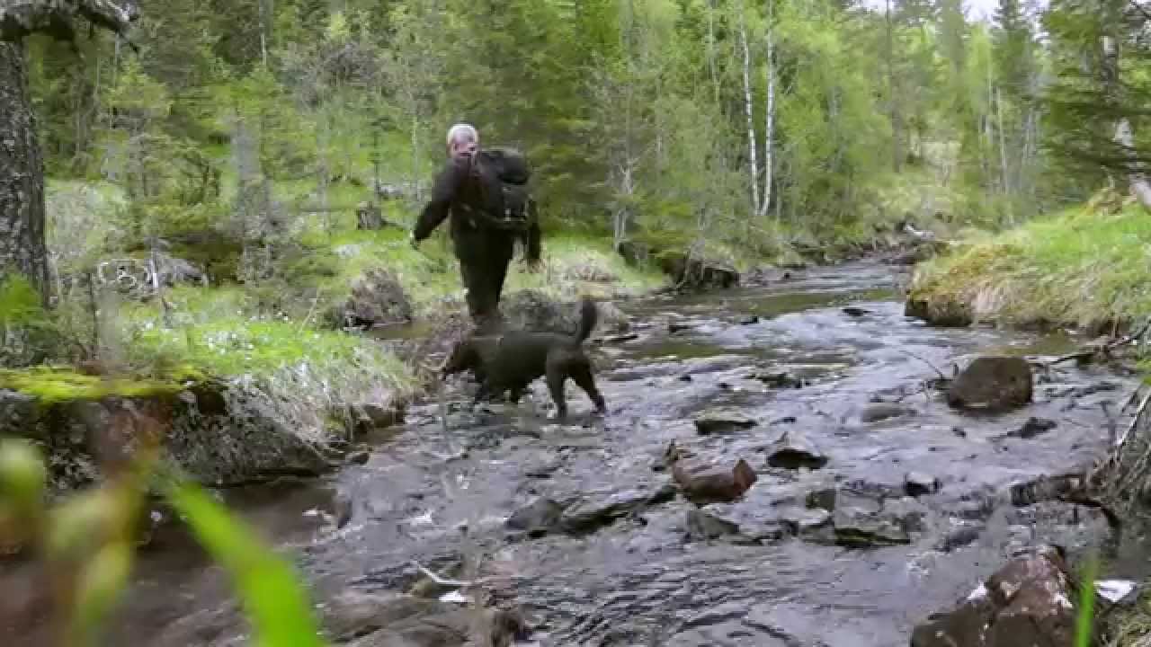 Fottur i Mostadmarka