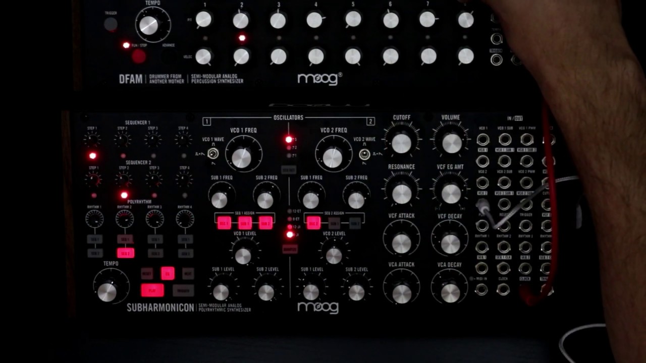 Mapaii - Rise Up (Moog Subharmonicon + Dfam)