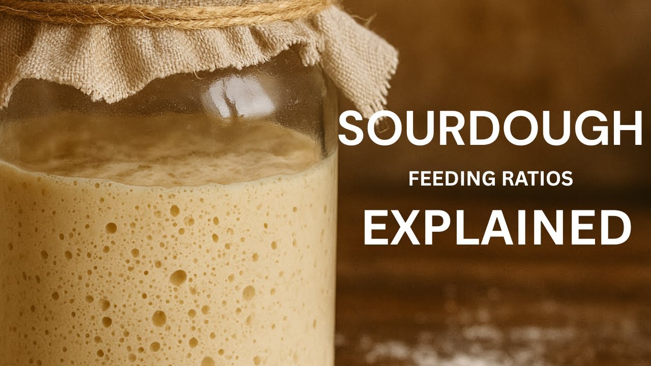 When & How to Feed Your Sourdough Starter (Beginner-Friendly Guide!)