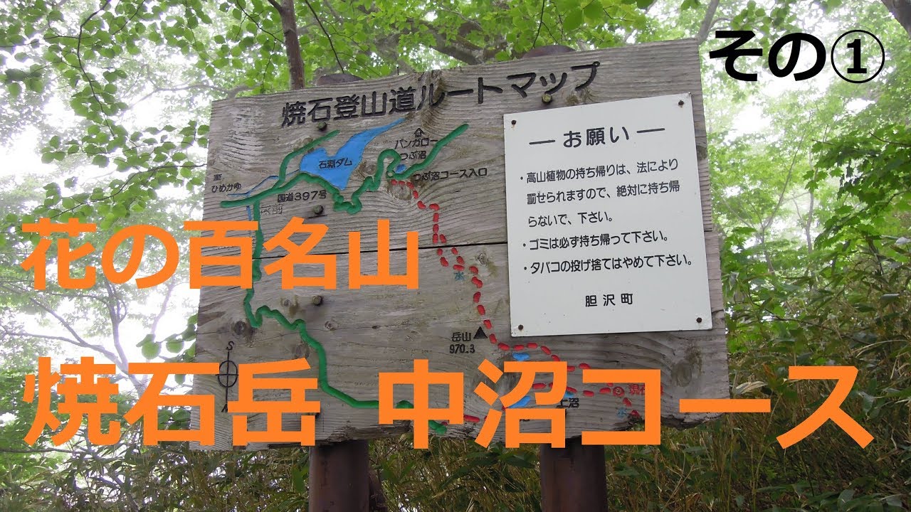 花の百名山「焼石岳」その①