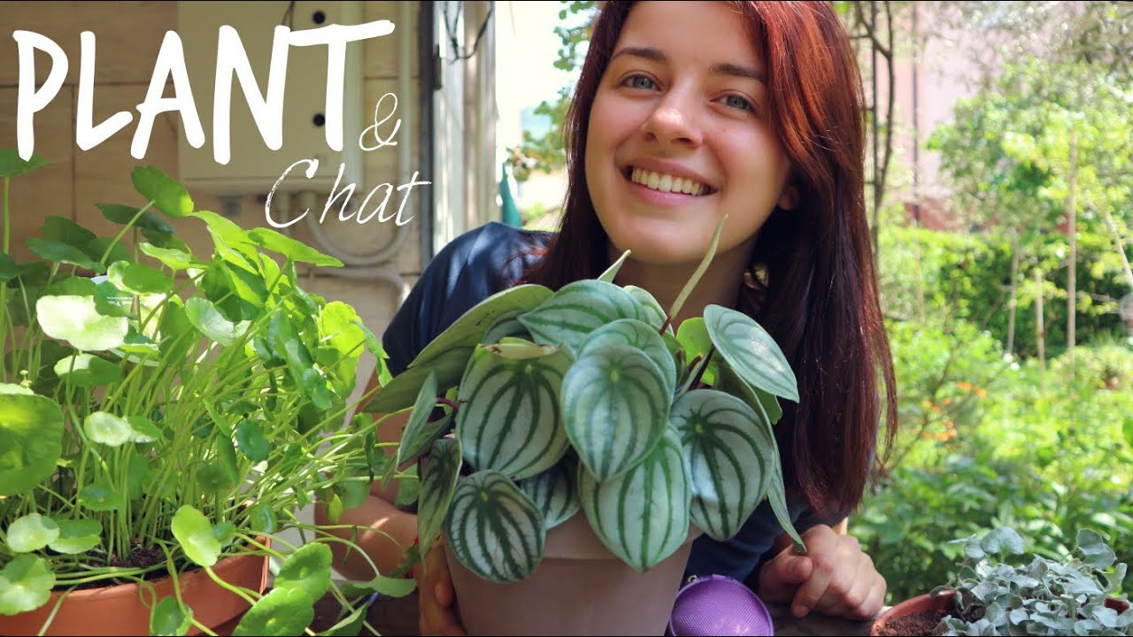 Come avere il POLLICE VERDE 🌷Piante e Chiacchiere #3