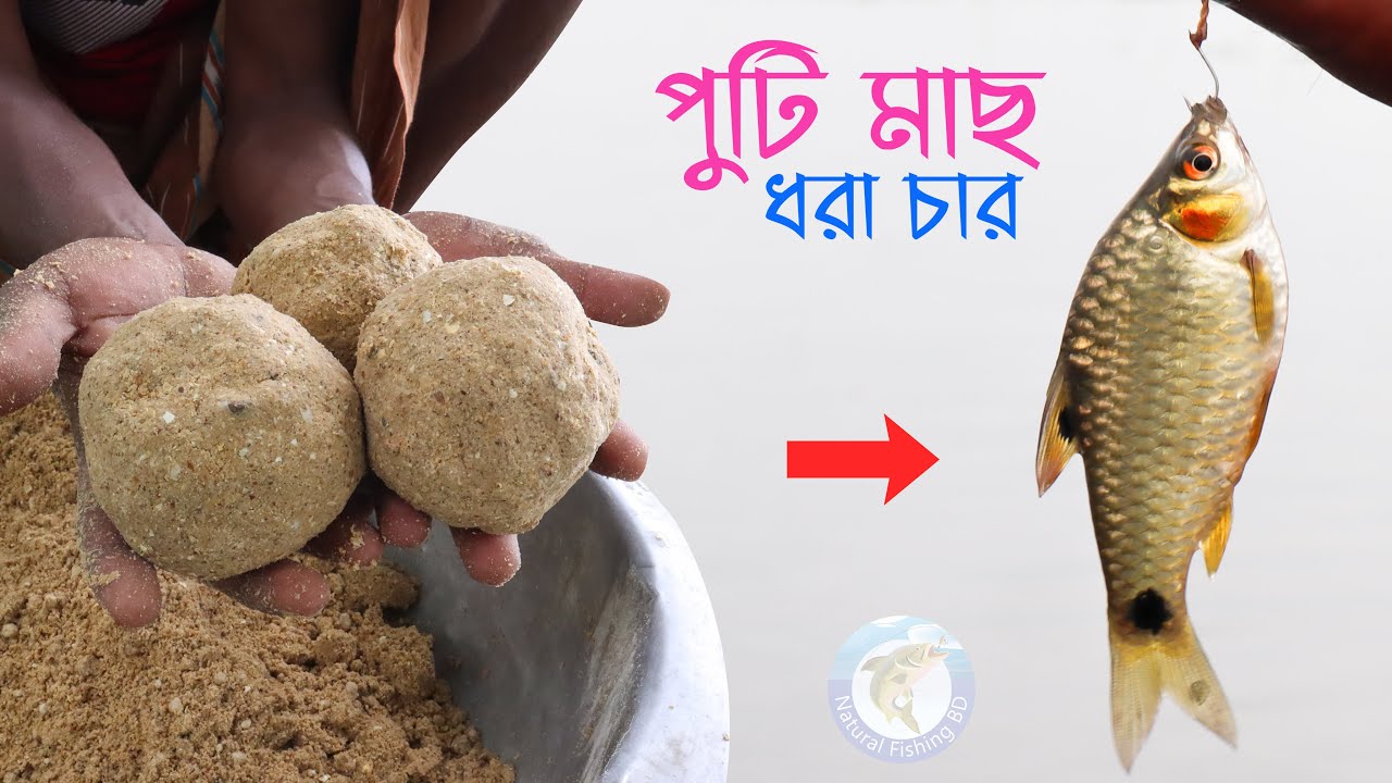 পুটি মাছ ধরা চার বানানোর নিয়ম | Puti Fishing Baits | Hook Fishing