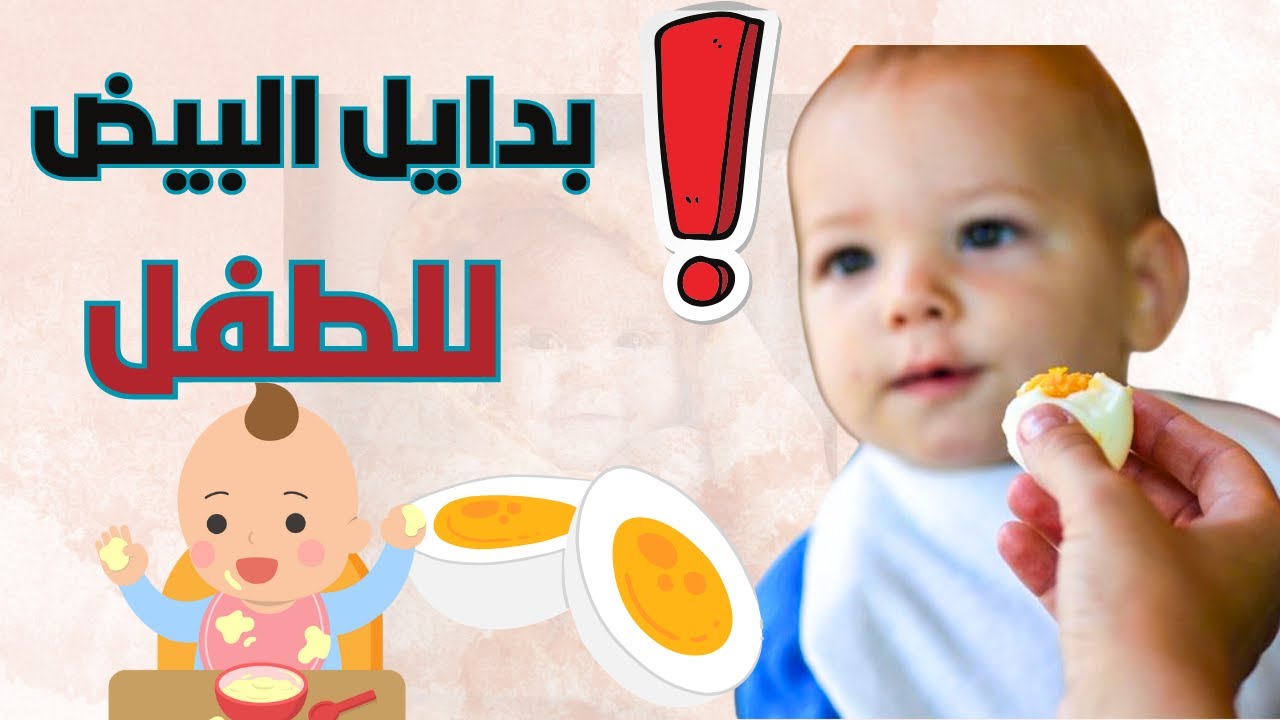 الحل مع الطفل الذي يرفض اكل البيض || بدايل البيض