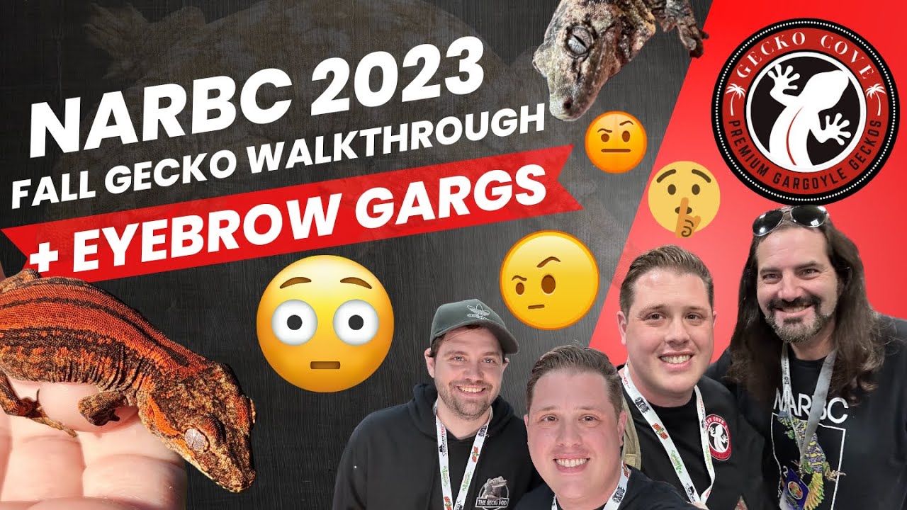NARBC Fall Tinley Gecko Walkthrough 2023 + Eugene Levy Line Gargoyle Geckos