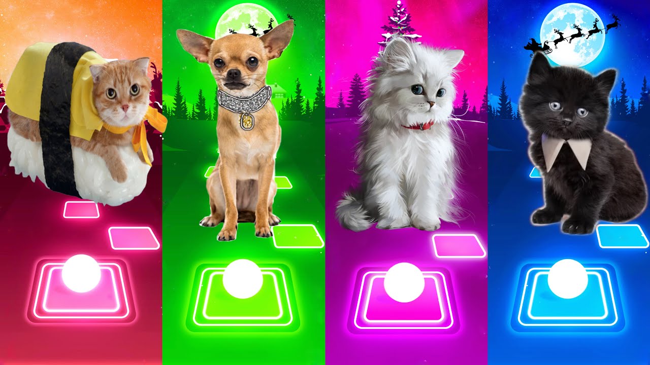 Cute Cats - BTS Fake Love Savage Love Imagine Dragons Believe | Tiles Hop EDM Rush