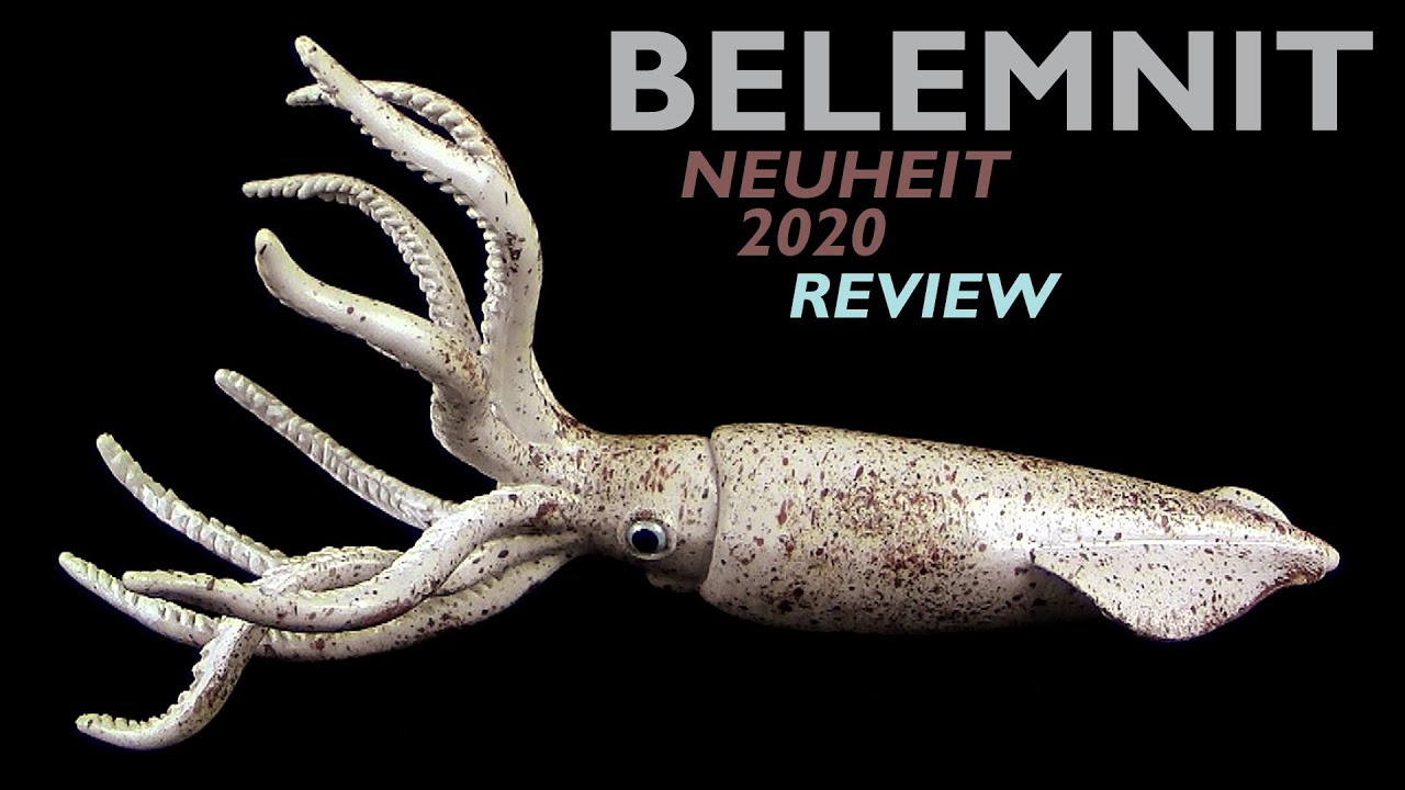 CollectA &reg; Belemnit / Teufelsfinger / Donnerkeile - 2020 Neuheit - Review