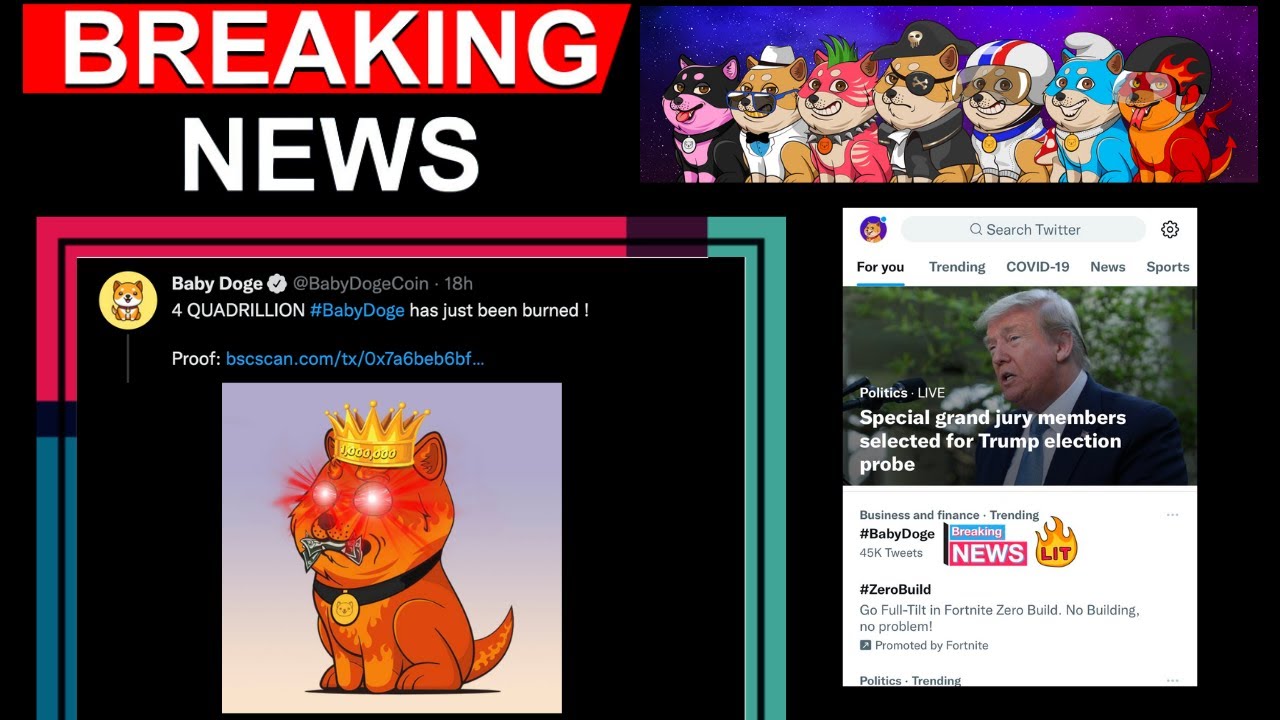 THIS IS BIG NEWS FOR BABYDOGE HOLDERS! | TOKEN BURN AND MORE!