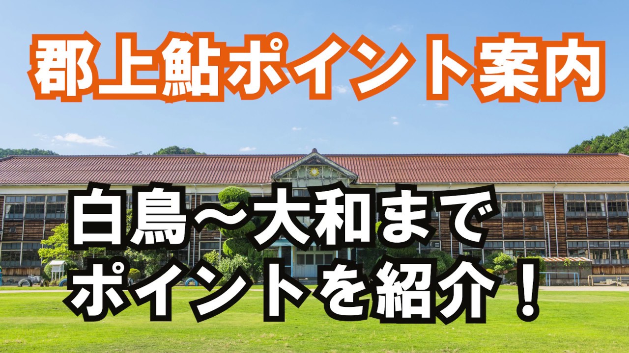 令和2年郡上鮎解禁直前ポイント紹介白鳥～大和編