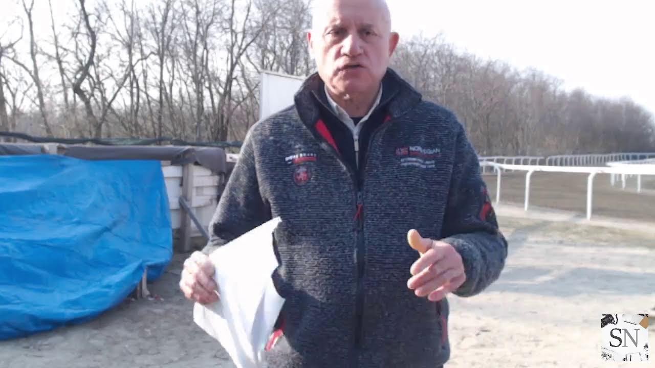 In diretta: corse di addestramento del Palio di Legnano