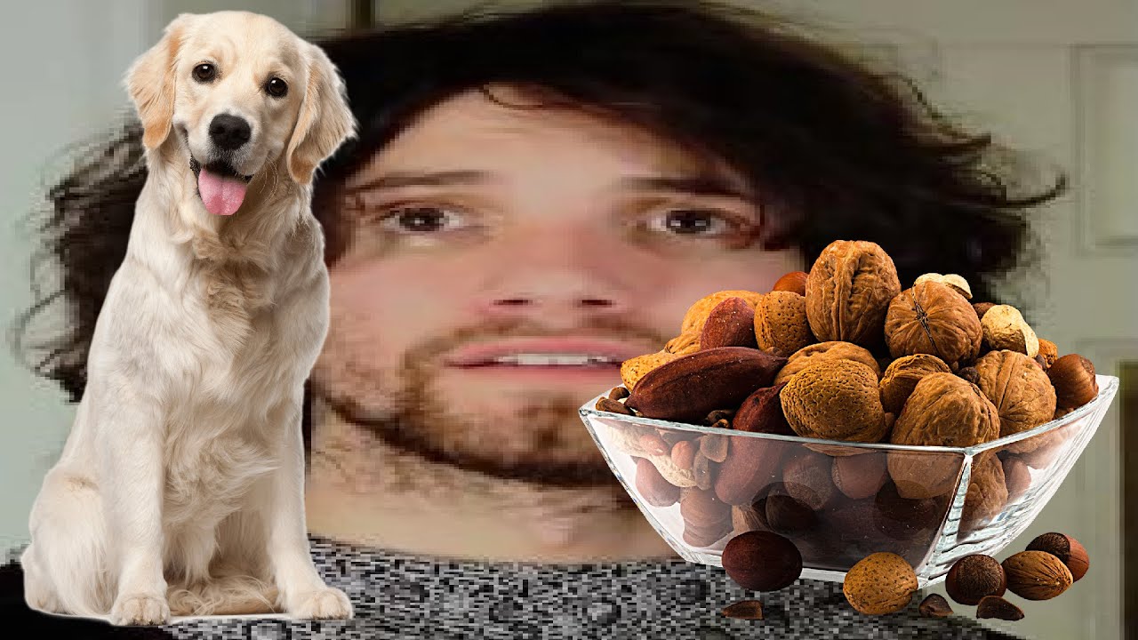 The UPDOG / GRABON Incident - Game Grumps clip