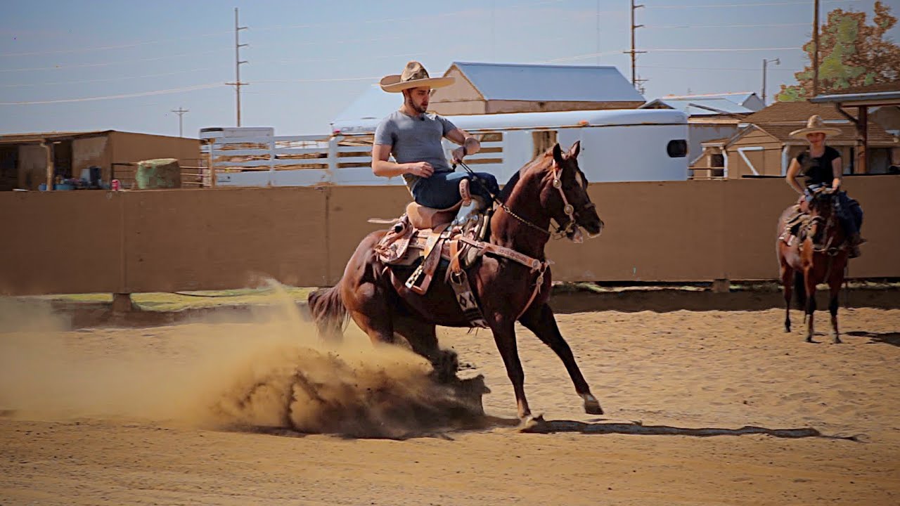 CHARRO MONTA UNA ALBARDA DE ESCARAMUZA 😨🧐