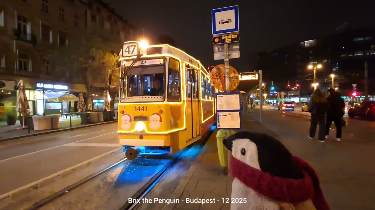 🐧 Public transport (with Christmas lights!) @ 🇭🇺 Budapest - December 2025