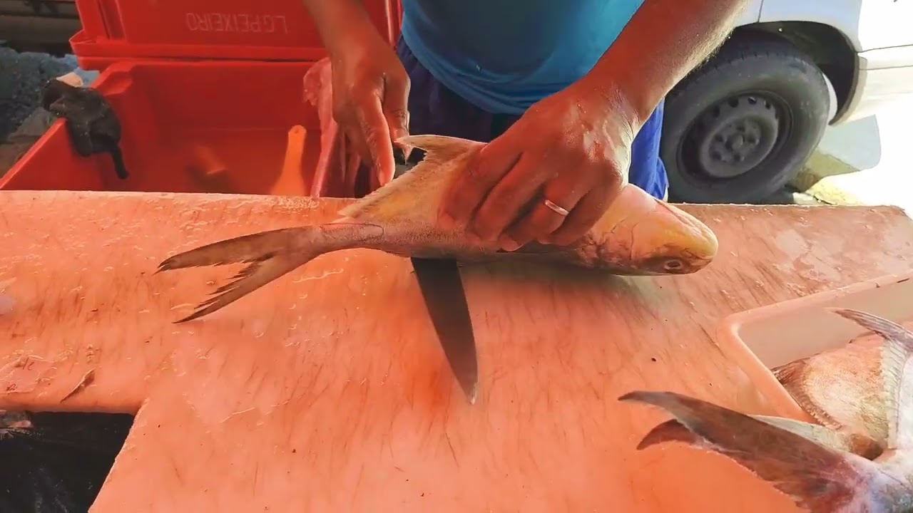 SUPER F&Aacute;CIL LIMPAR PEIXE! (((PAMPO)))..voc&ecirc; saber como limpa?!...