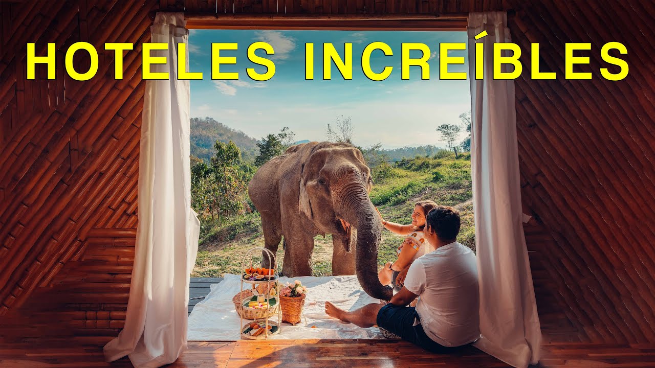 DURMIENDO CON ELEFANTES | CHAI LAI ORCHID | TAILANDIA