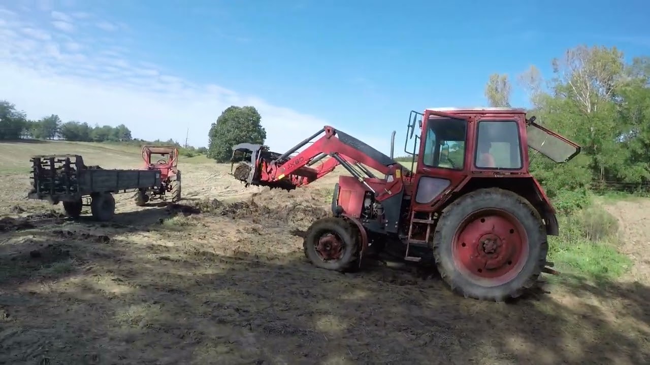 Trágyaszórás Manure Spread 2023 - MTZ82  BlackBull JX80, MTZ80 Eredeti hang Original sound