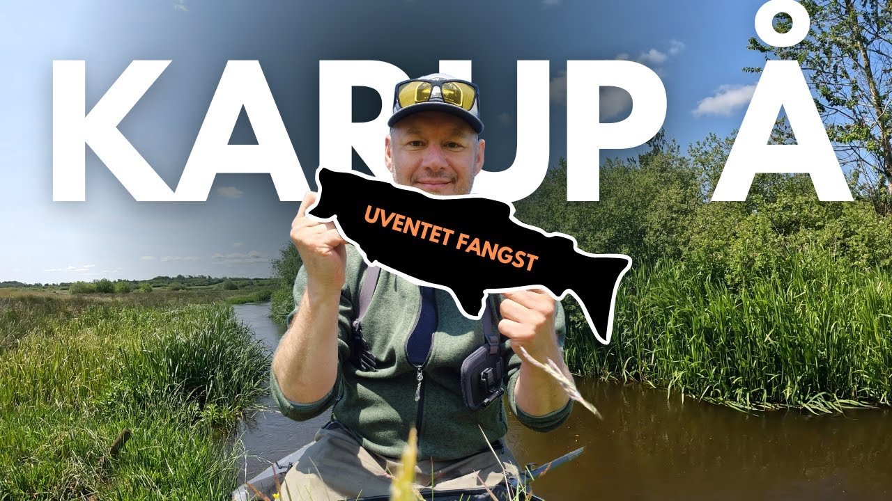 Uventet fangst i Karup Å - Overraskende havørredfiskeri 🎣