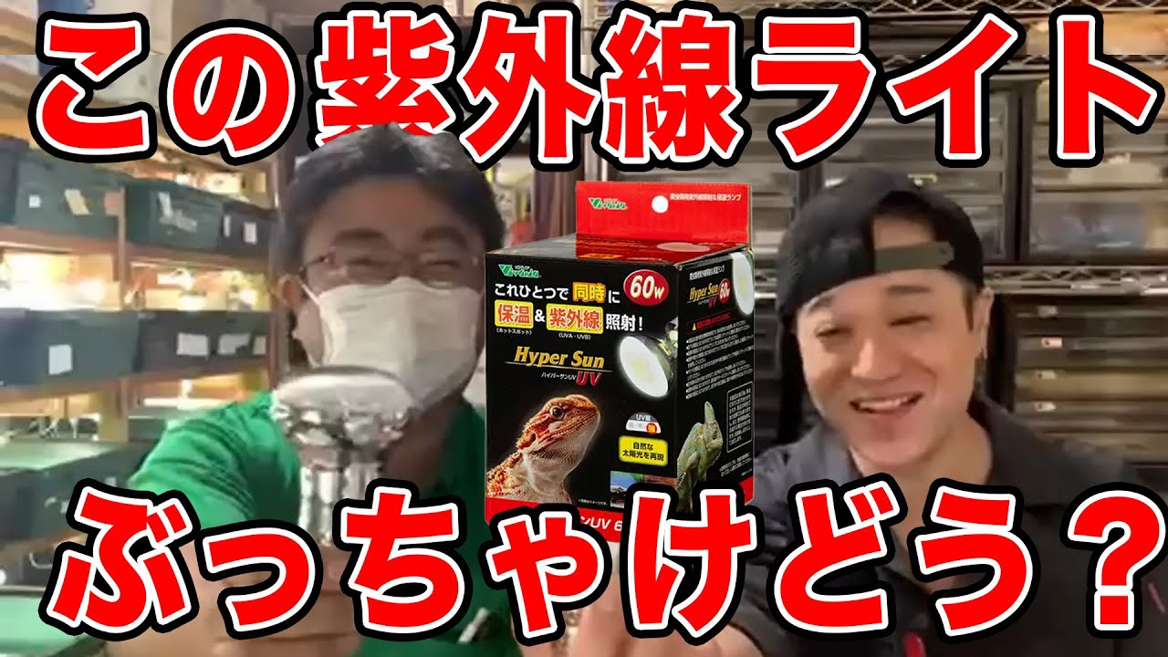 爬虫類用の紫外線ライトについて語ってみた