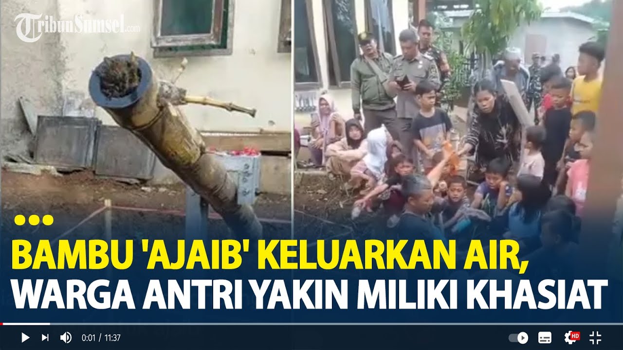 Bambu 'Ajaib' Terus Keluarkan Air Ternyata Karya Seni, Warga Rela Antri Yakin Miliki Khasiat