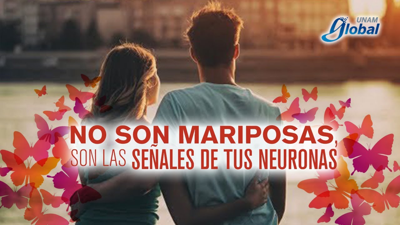 ¿Por qué sentimos mariposas en el estómago ?- UNAM Global