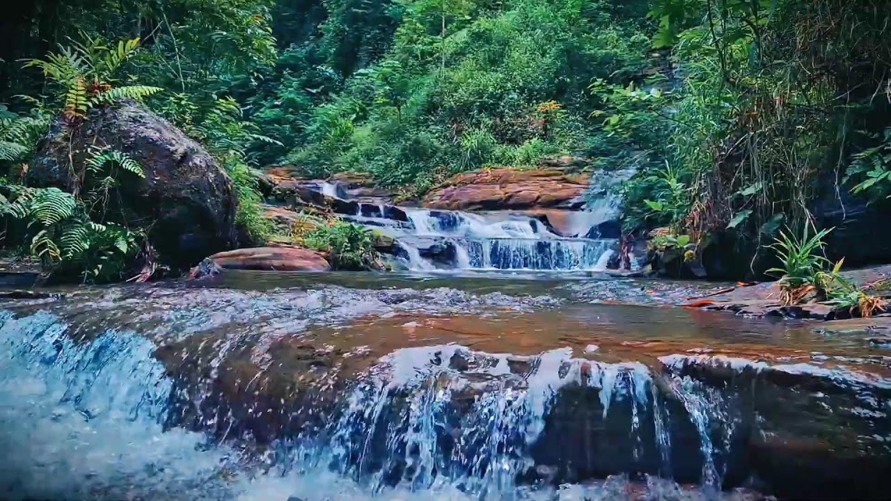 Mountain River Waterfall Flowing | Water Sounds, Nature White Noise, River Sounds for Sleeping