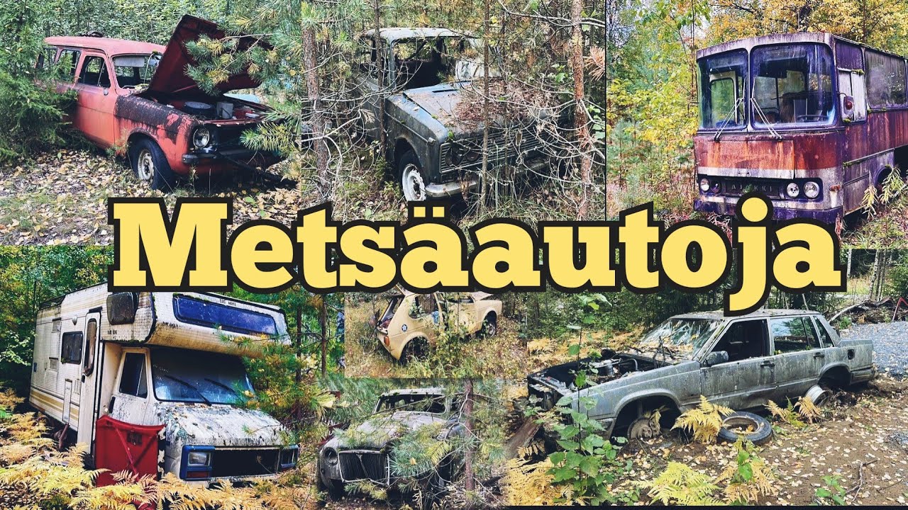 Metsäautoja & Muita aarteita
