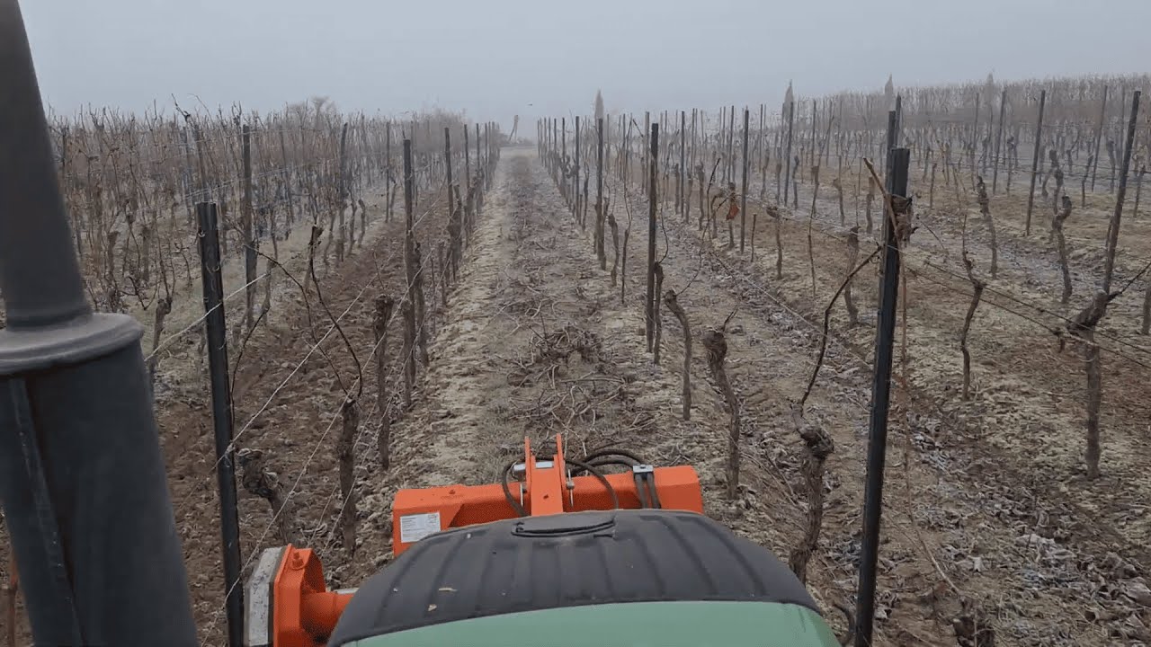 Reben häckseln Weinbau Obstbau Fendt Vario TMS Weinberg Schmalspur EFIX RTK Lenksystem