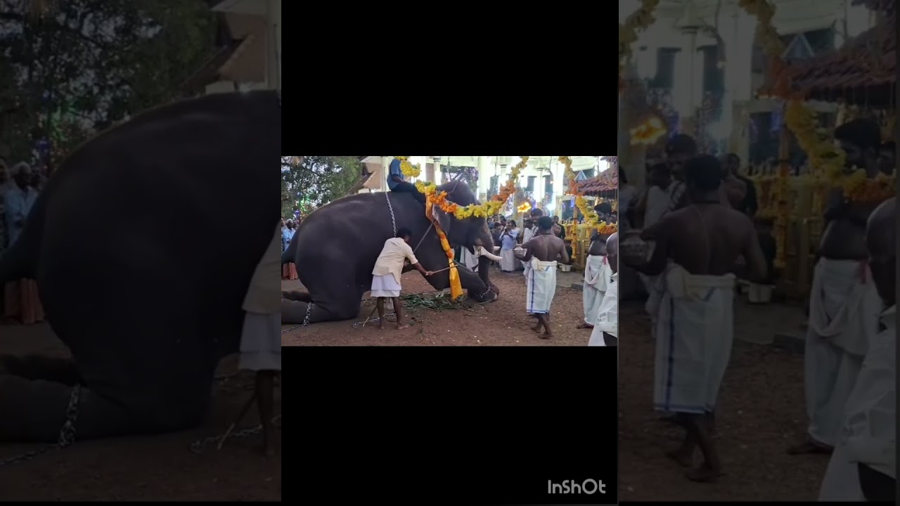 Kiliroor Kunnilmel Bhagavathy Temple. Arrattu Maholsavam.