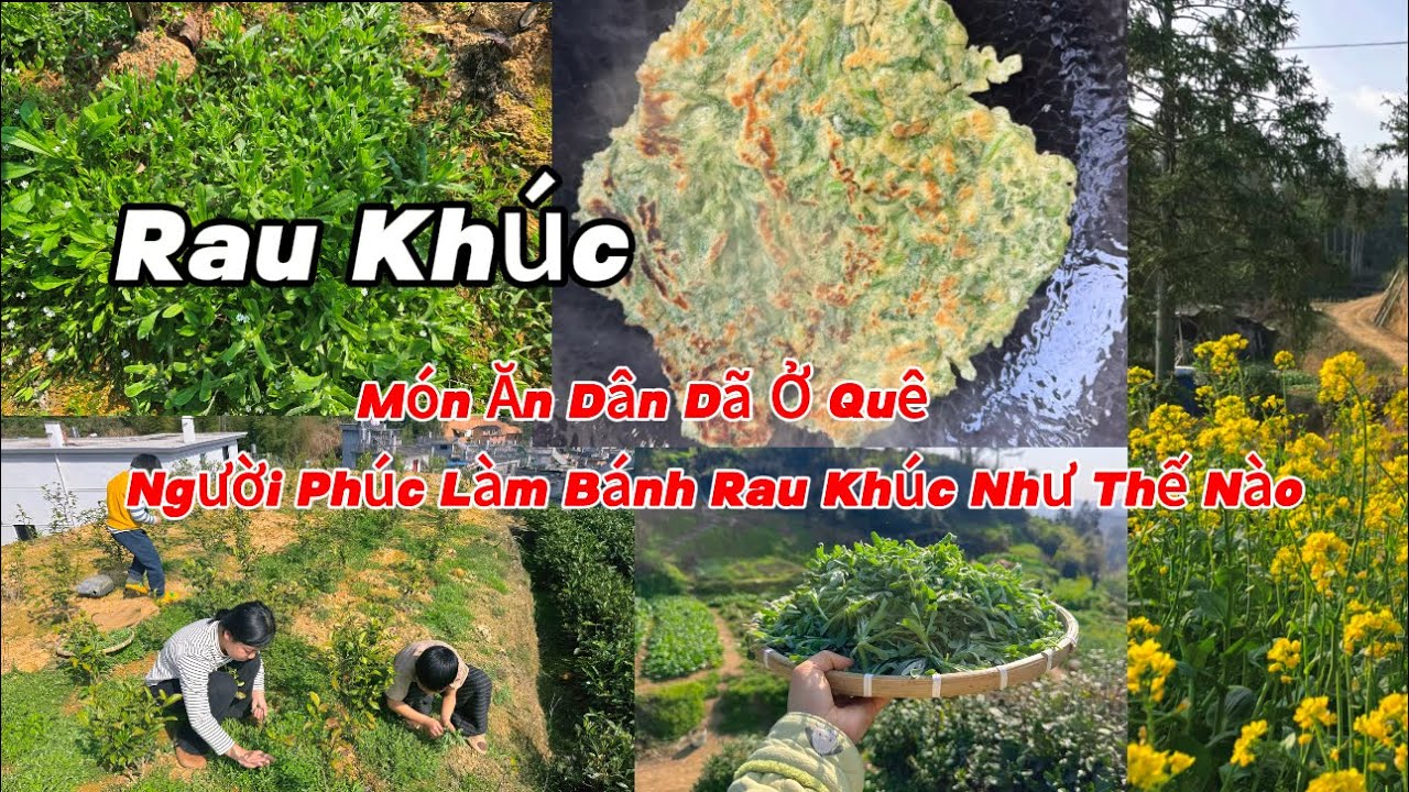 Món Ăn Dân Dã Ở Quê,Người Phúc Kiến Làm Bánh Rau Khúc Như Thế Nào 