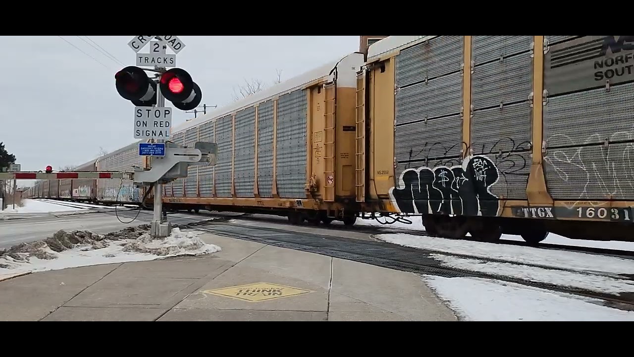 Zebra paint 5286 leads CN E251