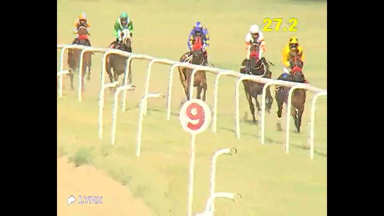 Delhi Race No 4 The North India Fillies Trial stakes /win - ENRICA / Jockey - R Parvesh/#video 2026 