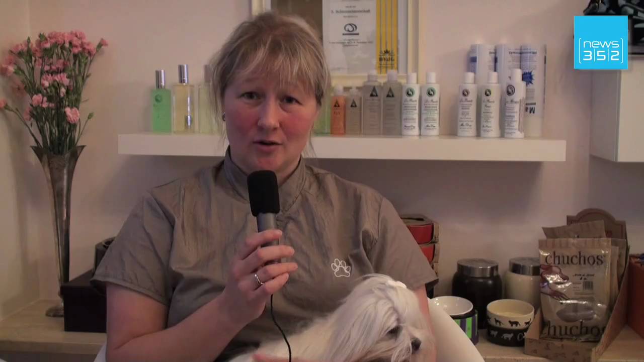 Beruf: Hundefrisörin