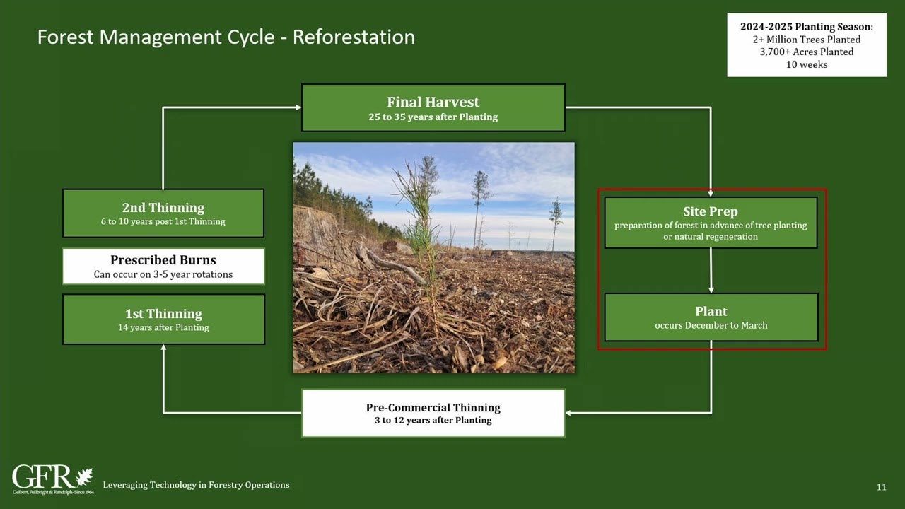 Leveraging Technology in Forestry Operations