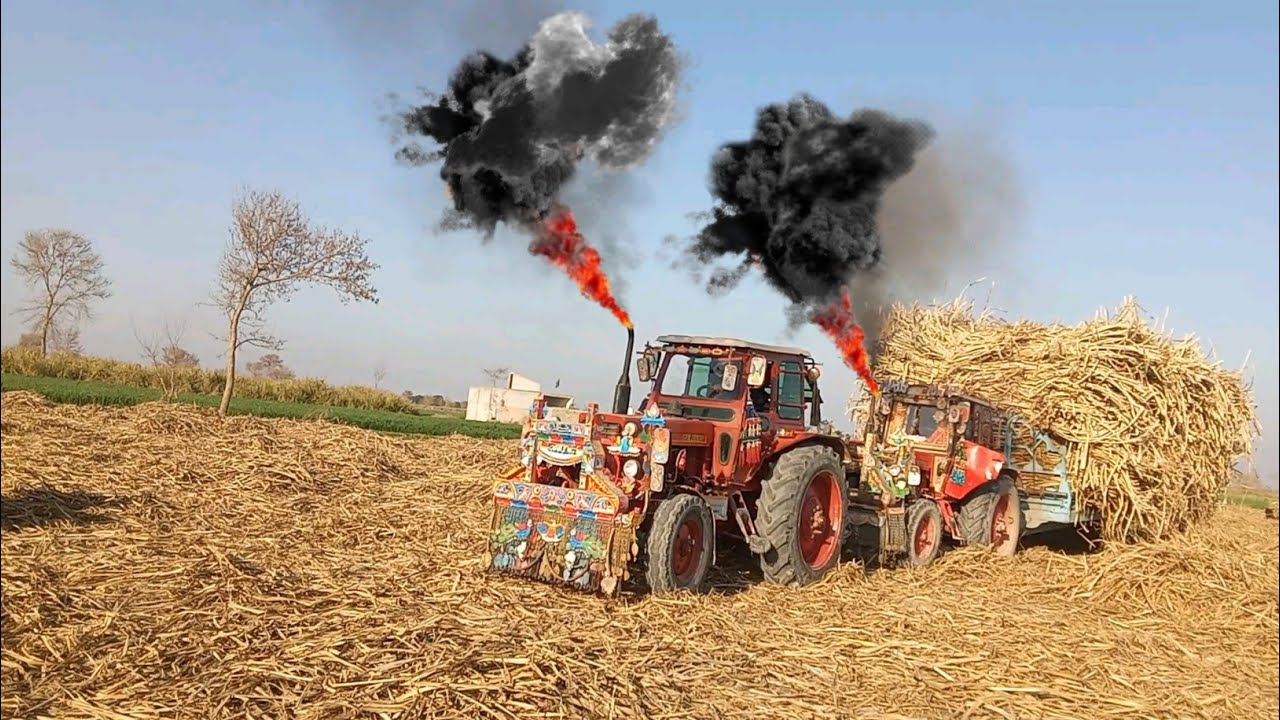 Powerful Belarus 510 tractors Pulling Trolley In Muddy Path 😨 | Pakistani Tractor Video | Viral