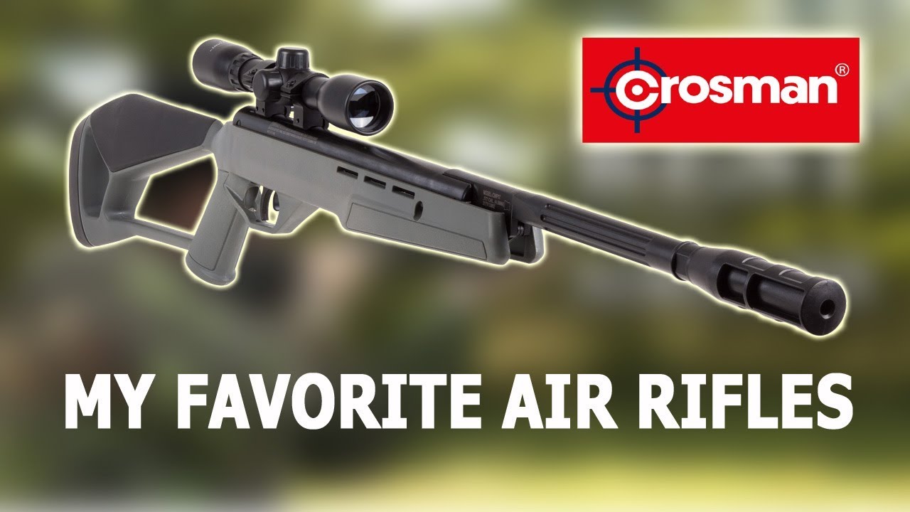 Top 5 Best Crosman Air Rifles - Best Break Barrel Airguns 2021