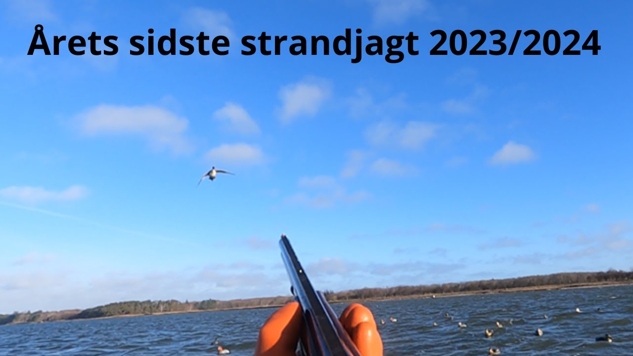 Årets sidste strandjagt 2023/2024 - Duck hunting with decoys (Eng. subs)
