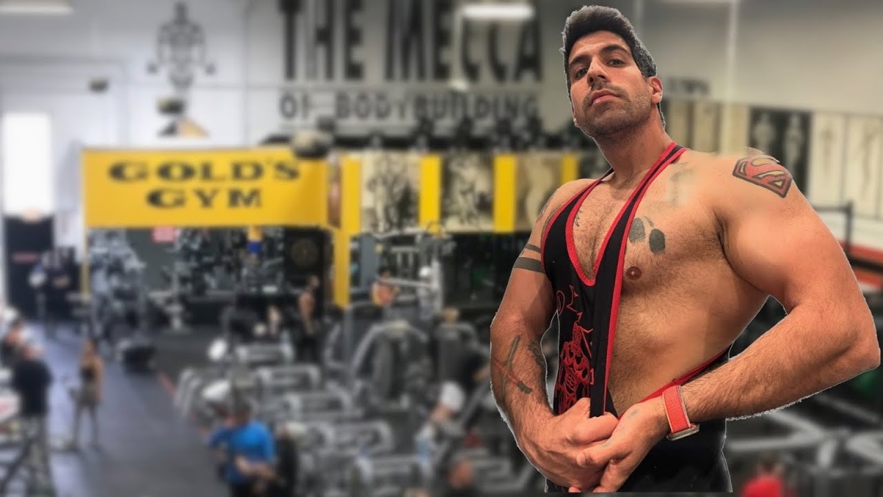 PETTO E BICIPITI IN GOLD'S GYM con gli Iscritti