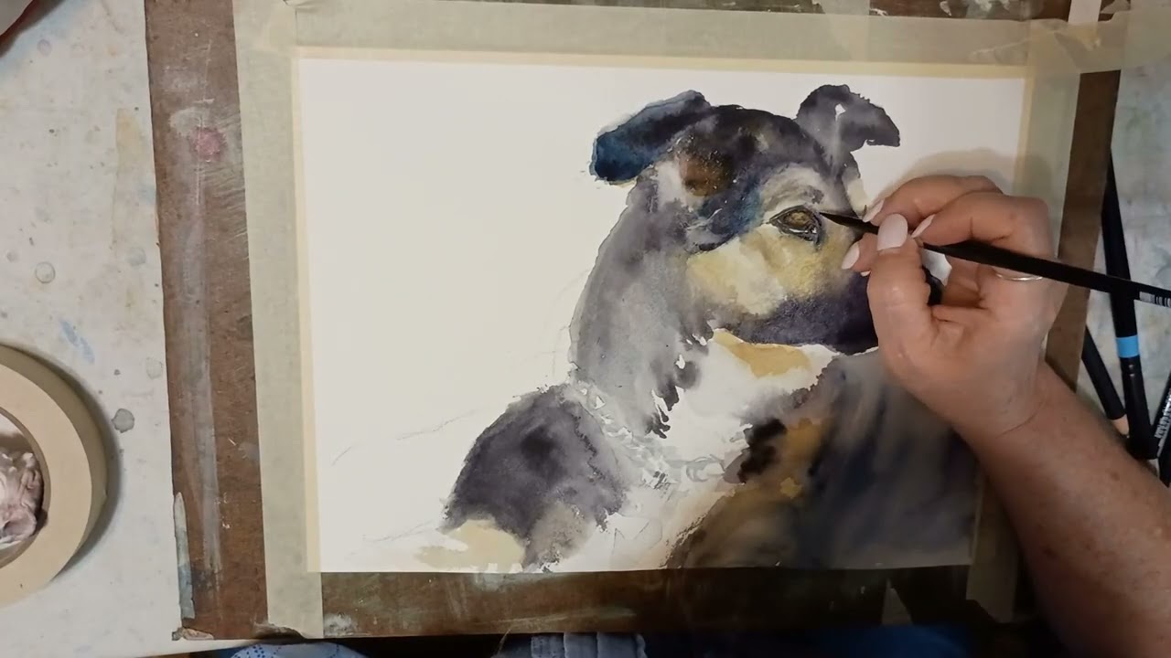 3.3 Cooper Dog 5