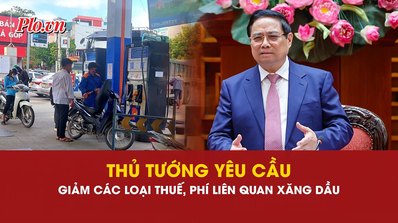 Thủ tướng: Giảm các loại thuế, phí liên quan đến xăng, dầu để hỗ trợ người dân | PLO