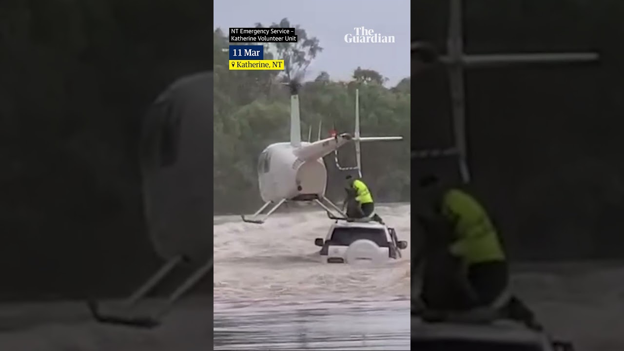 Dog dramatically rescued from Australian floodwaters by helicopter